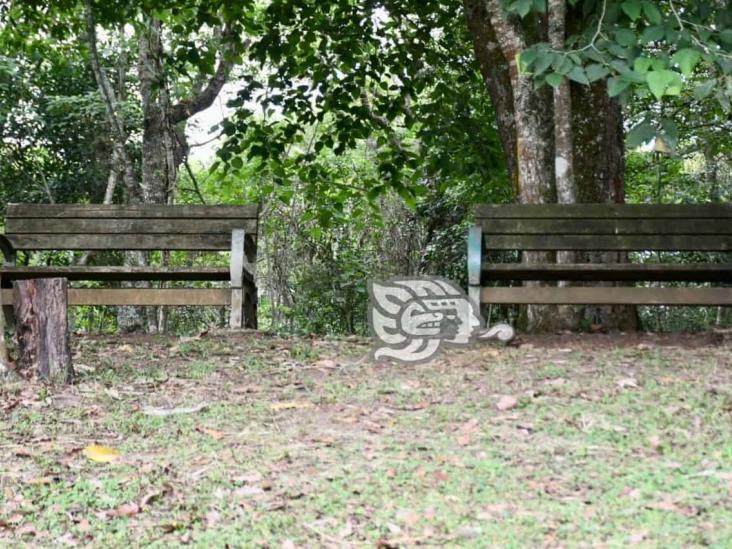 Autoridades desprecian reclamos de xalapeños ante abandono del Parque Natura