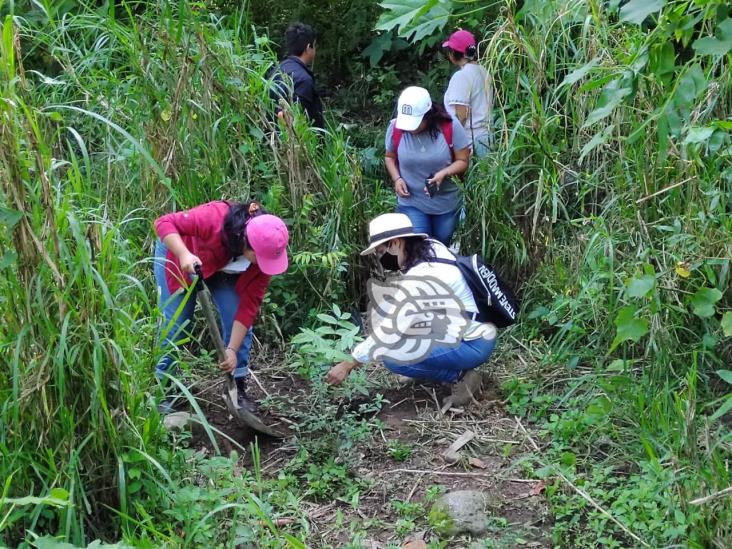 Realizan jornada de reforestación en Misantla