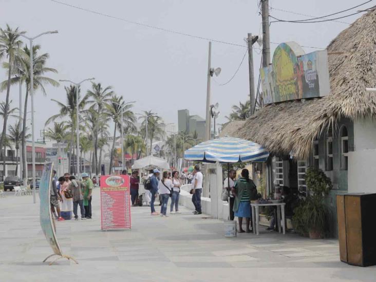 Palaperos en Veracruz registran afectaciones por evento de norte