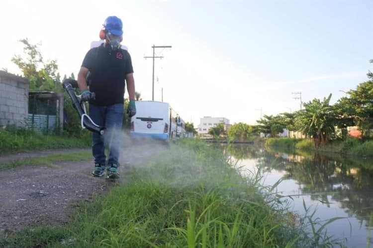 Inician fumigación contra dengue en colonia Miguel Alemán en Boca del Río
