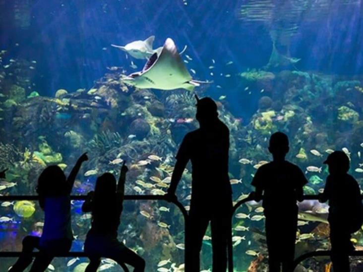 Gobierno ahora recauda fondos para renovar al Aquarium