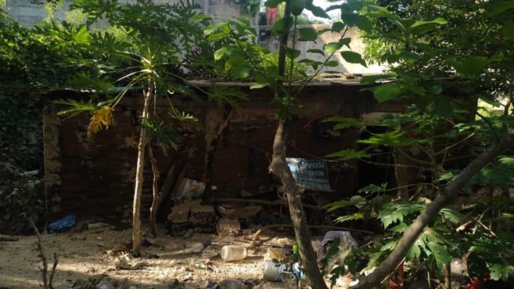“Conchita” perdió su hogar tras derrumbe de construcción en la Riviera Veracruzana