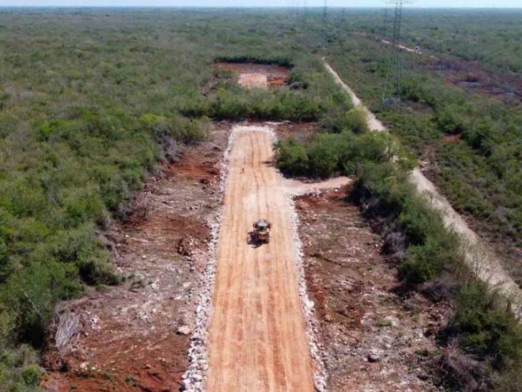 Localizan fosa clandestina entre la ruta del Tren Maya en Quintana Roo