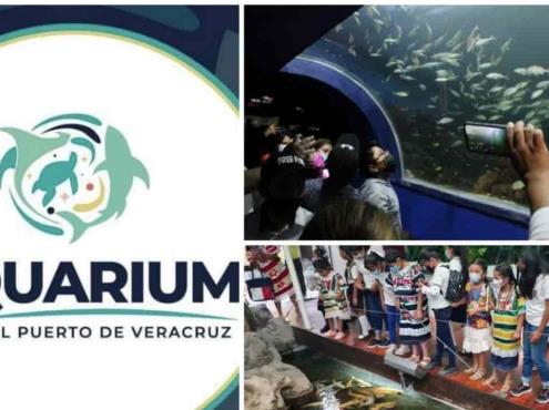 PMA convocará a estudiantes de arquitectura para remodelación de Aquarium de Veracruz