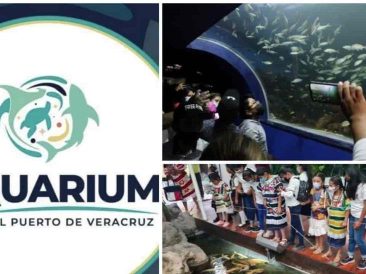 Buscan que sean 2 los días gratis en el Aquarium de Veracruz