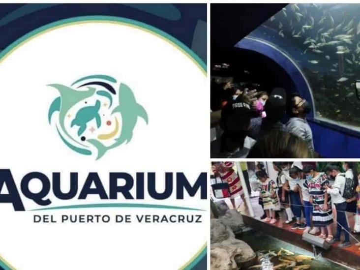 Prevén recaudar 10 mdp en cena gala para invertir en Aquarium de Veracruz