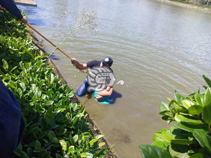 Mujer se arrojó a los lagos del Dique en Xalapa