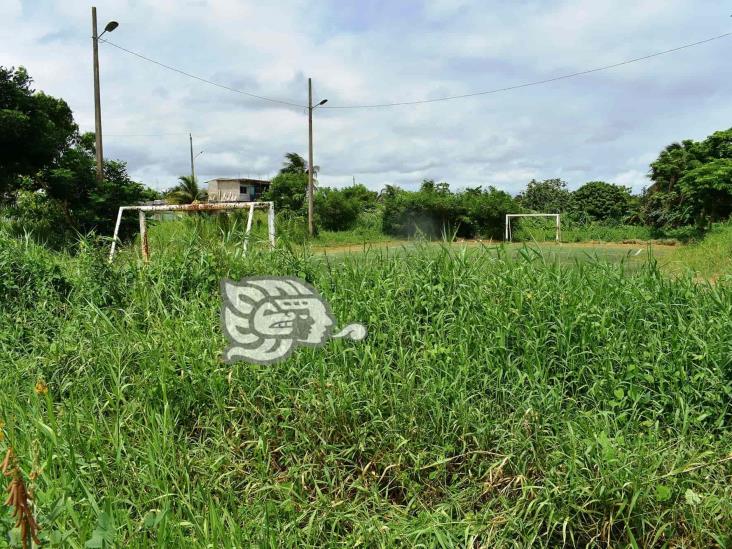 (+Video) Cancha de fútbol rápido de la Morelos, abandonada entre el monte