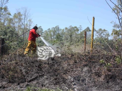 En Las Choapas, ganaderos y agricultores preocupados por incendios