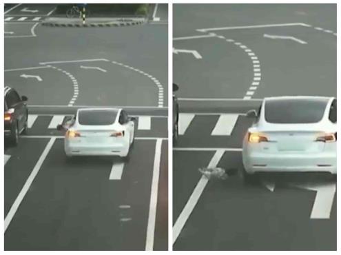 Niña cae de la ventana de un auto en movimiento en plena carretera (+Vídeo)