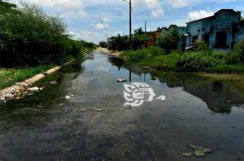 (+Video) Un río de aguas negras con basura, Ciudad Olmeca lado río

