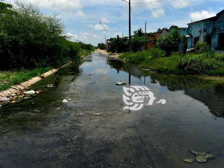 (+Video) Un río de aguas negras con basura, Ciudad Olmeca lado río