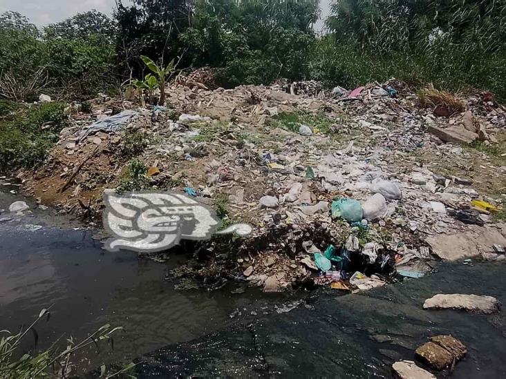 (+Video) Un río de aguas negras con basura, Ciudad Olmeca lado río