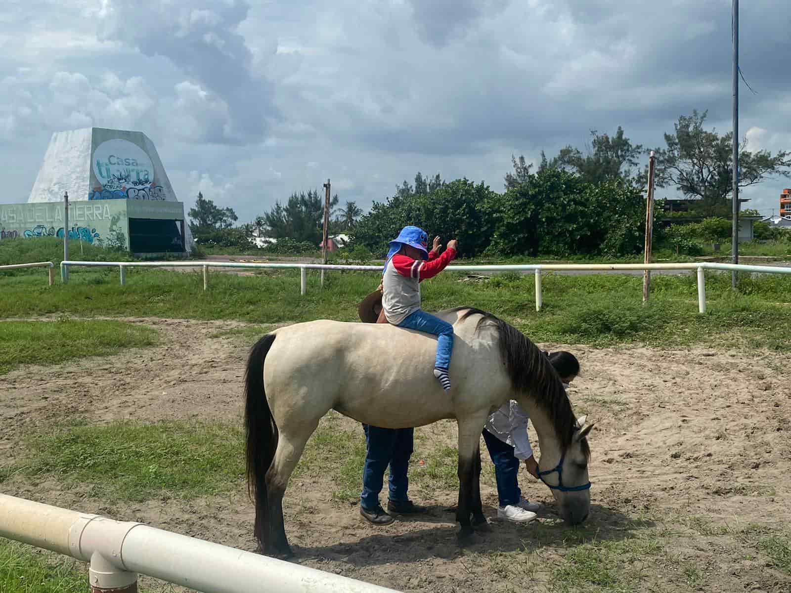 Reactivarán espacio de la Casa de la Tierra en Veracruz tras años de abandono