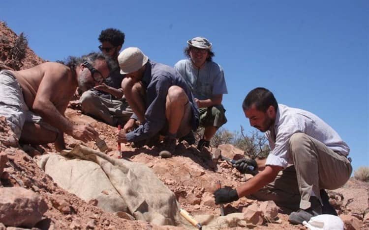 Jakapil, el primer dinosaurio acorazado bípedo hallado en Sudamérica