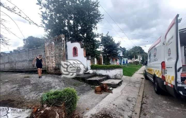Camioneta choca contra vivienda en Escobedo; una adulta mayor herida