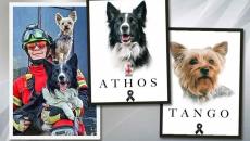 Dan 10 años de cárcel a sujeto que envenenó a perros rescatistas Athos y Tango