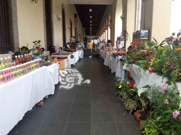 Consume local; realizan Expo Artesanal en el centro de Xalapa (+Video)