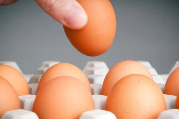 Empresa Bachoco lanza oferta pública para ir por todas las acciones