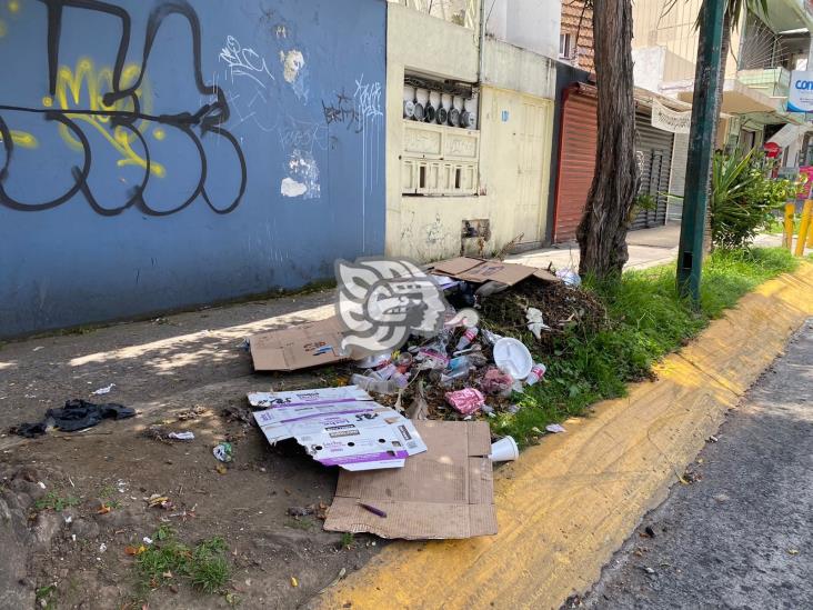 Vecinos de Xalapa denuncian acumulación de ratas muertas en 20 de Noviembre (+Video)
