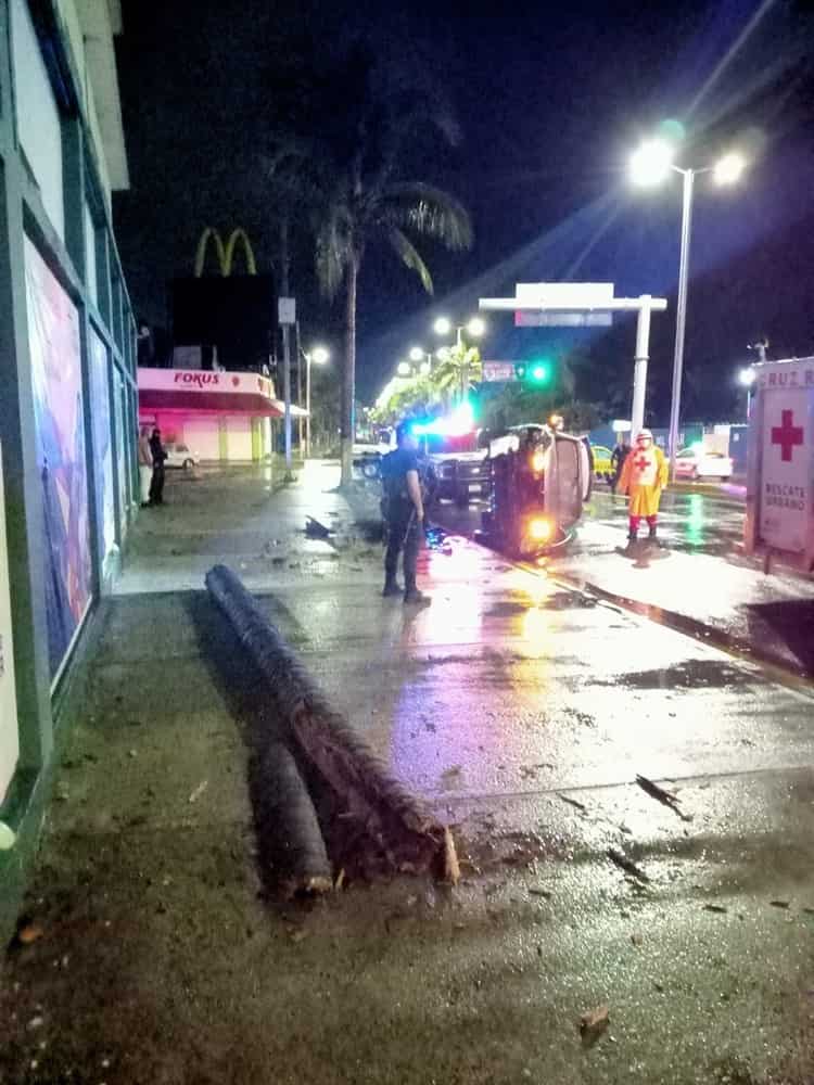 Conductor que iba a exceso de velocidad volcó al impactarse con palmera en Veracruz