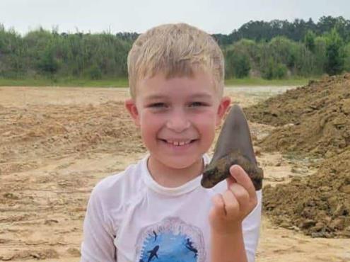 Niño encuentra diente de tiburón gigante extinto hace millones de años