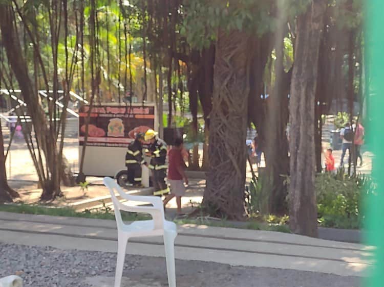 Flamazo por fuga de gas no causó mayor riesgo en Veracruz: Bomberos (+Video)