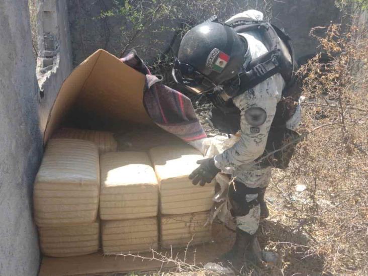 Decomisan más de 100 kilos de mariguana en predio abandonado de Nuevo León