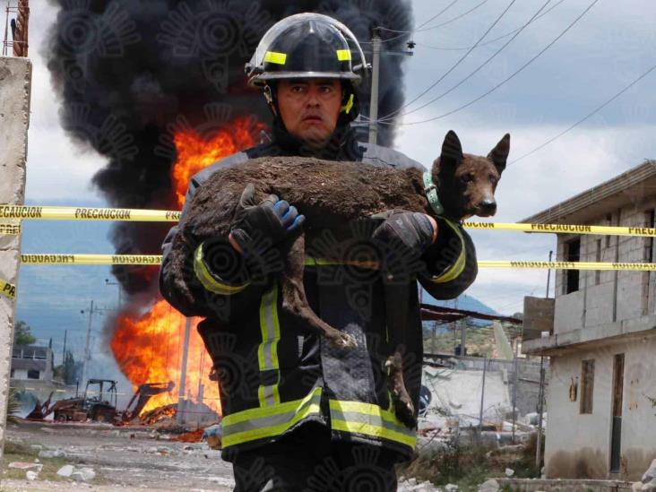 Perrito es rescatado de la explosión de un ducto en Amozoc, Puebla