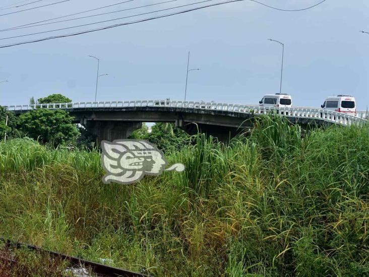 (+Video) Maleza rodea el Puente Caracol; se desprende concreto