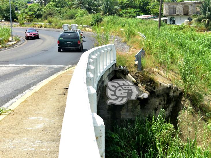 (+Video) Maleza rodea el Puente Caracol; se desprende concreto
