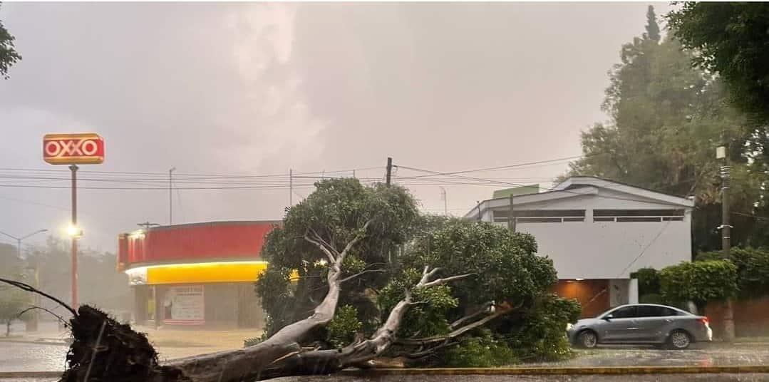 Fuertes lluvias en Puebla dejan un menor fallecido y daños materiales (+Video)