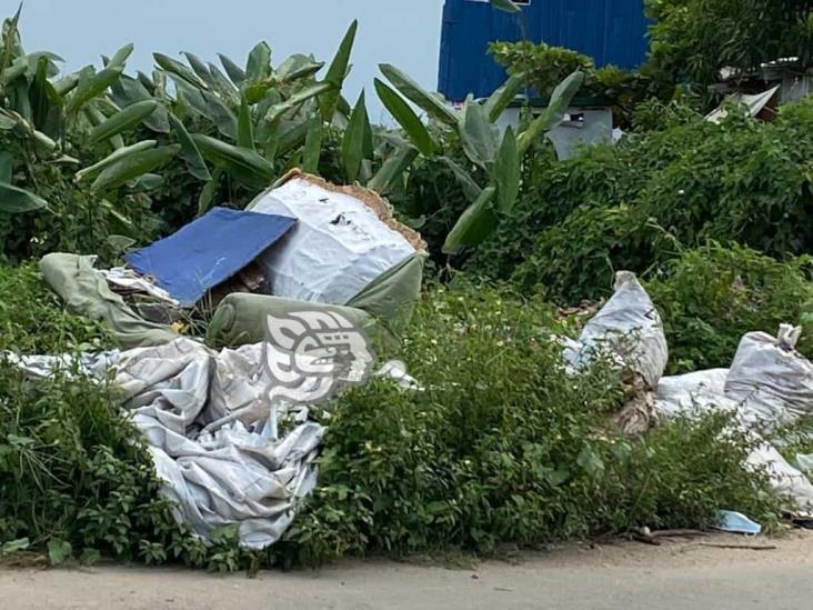 Exigen multa a quienes tiren basura en pantano de ‘El Palmar’