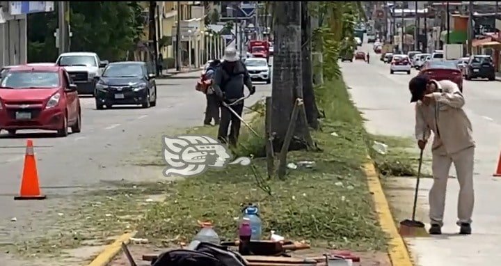 Desata polémica tala de arbolitos en avenida de Minatitlán