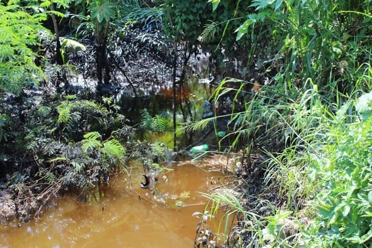 Denuncian derrame de petróleo en Río Cotaxtla