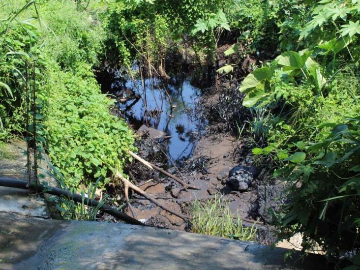 Denuncian derrame de petróleo en Río Cotaxtla