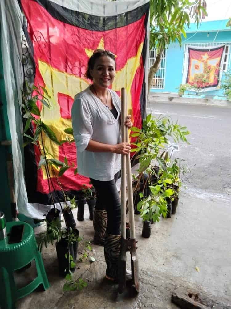 En Veracruz, aprovecharon la lluvia para sembrar árboles