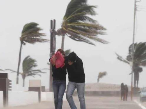 ¿Qué debes hacer ante la llega de los vientos fuertes a Veracruz? Esto recomienda PC