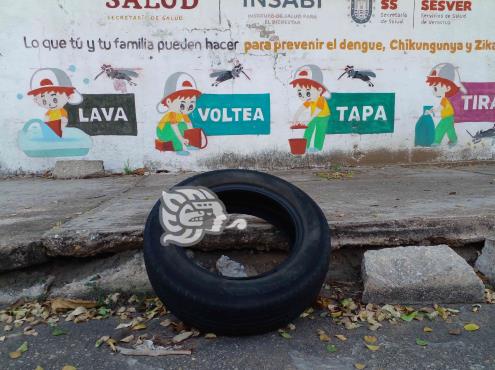 Confirmados, más de mil casos de dengue en Veracruz; el doble que en 2021