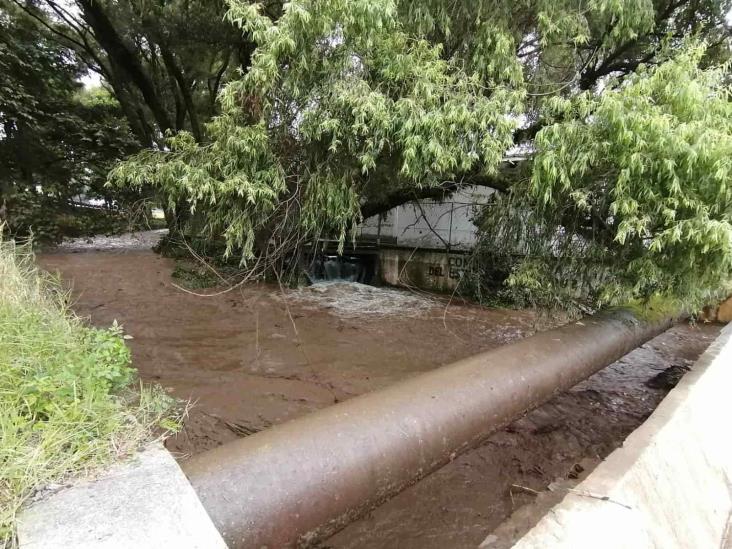 (+Video) Autoridades descartan desbordamiento del río Chiquito en Nogales