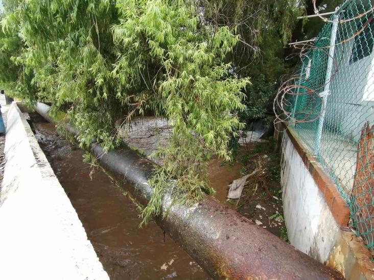 (+Video) Autoridades descartan desbordamiento del río Chiquito en Nogales