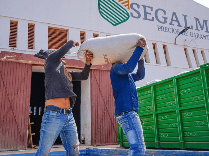 Segalmex abrirá 10 “tiendas medias” en comunidades vulnerables de Veracruz