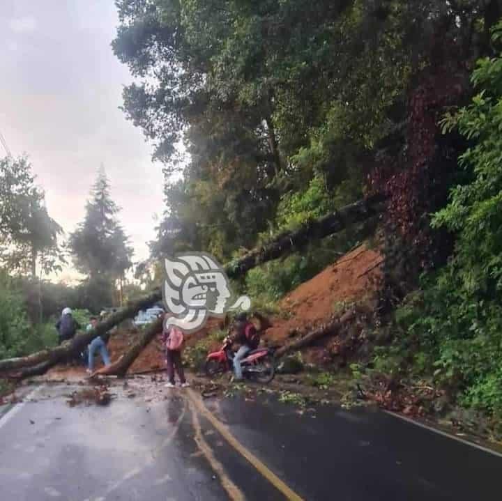 ¡Atento! Derrumbes bloquean carriles en carreteras Teocelo-Xico y Teocelo-Cosautlán