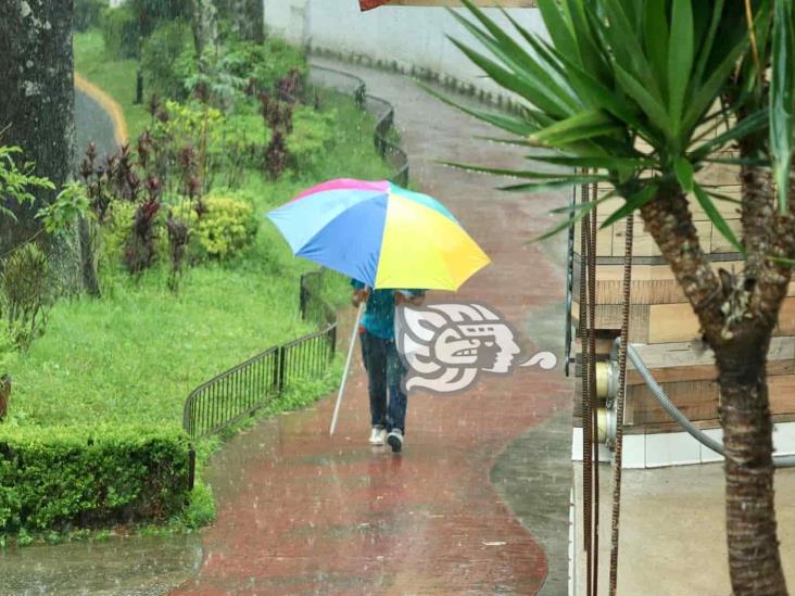 (+Video) Fuerte lluvia sorprende a xalapeños este miércoles