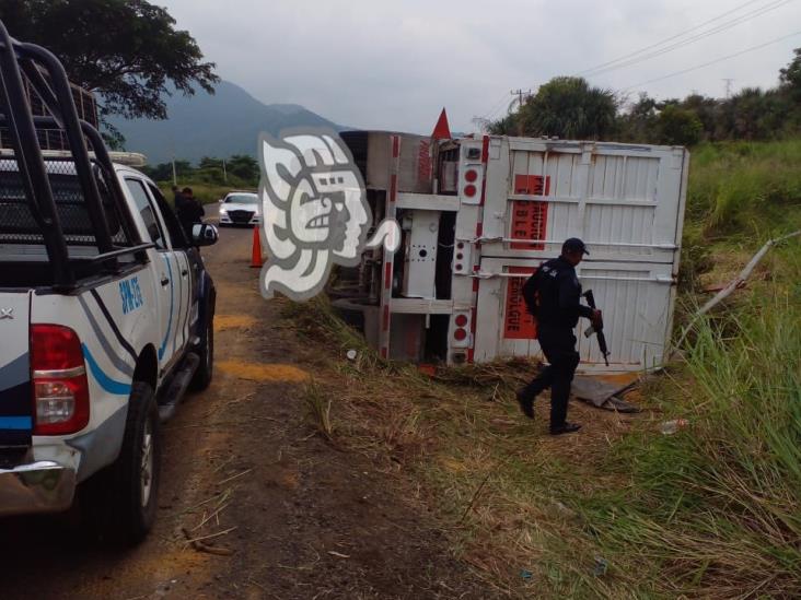 Vuelca camión con alimento de ganado en Alto Lucero; se roban la carga