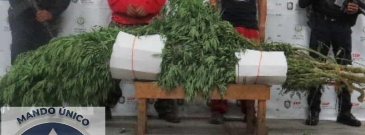 Con 23 kilos de mariguana, capturan a dos hombres en Córdoba