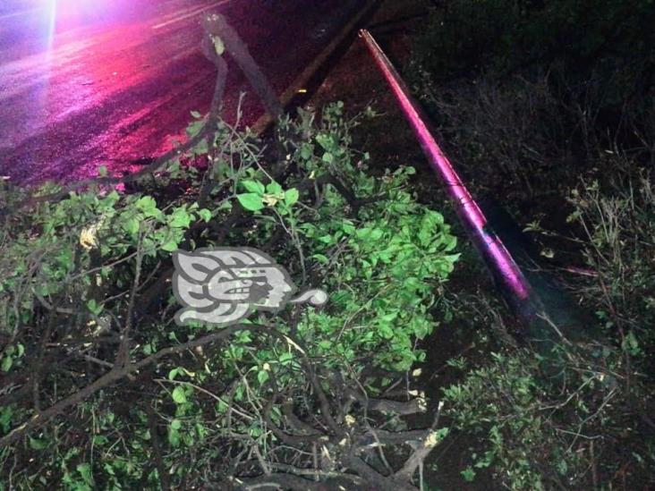 Auto vuelca y derriba luminaria en avenida Lázaro Cárdenas de Xalapa