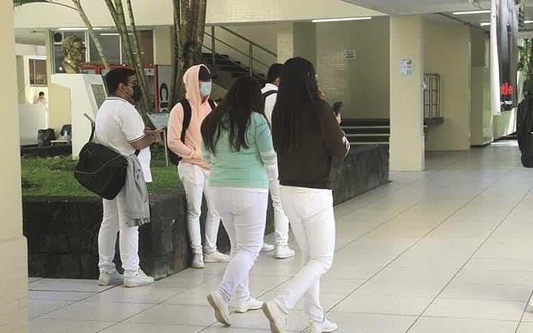 Zona universitaria de Medicina en Veracruz es un riesgo para mujeres: Colmena Verde