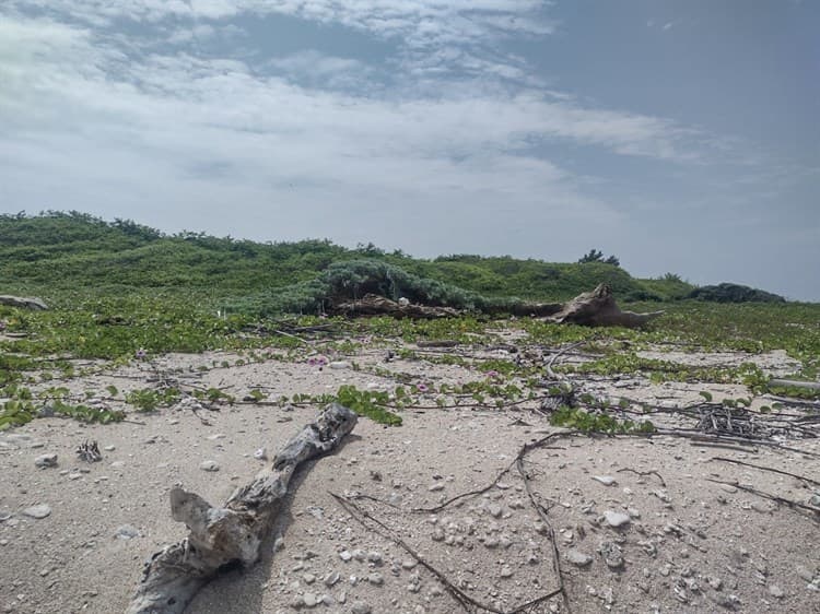 En Veracruz, asombra nacimiento de agua dulce sobre Isla Verde