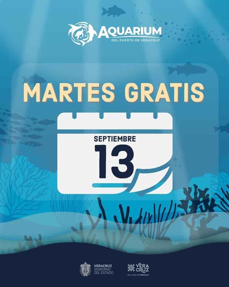 Te decimos cómo conseguir boletos gratis para entrar al Aquarium de Veracruz